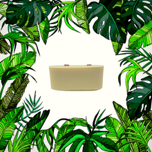 Load image into Gallery viewer, Mosquito Repellent, Flies, Bees, Bugs, Vegan -Citronella + Anise Refills