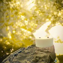 Load image into Gallery viewer, Mosquito Repellent, Flies, Bees, Bugs, Vegan -Citronella + Anise Refills