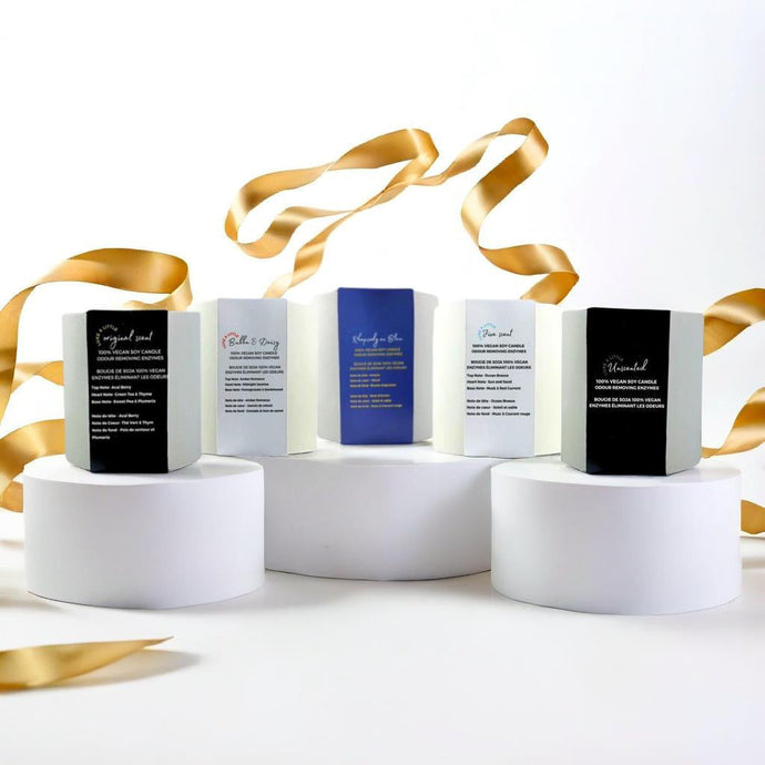 We’re Back — And More Luxurious Than Ever!