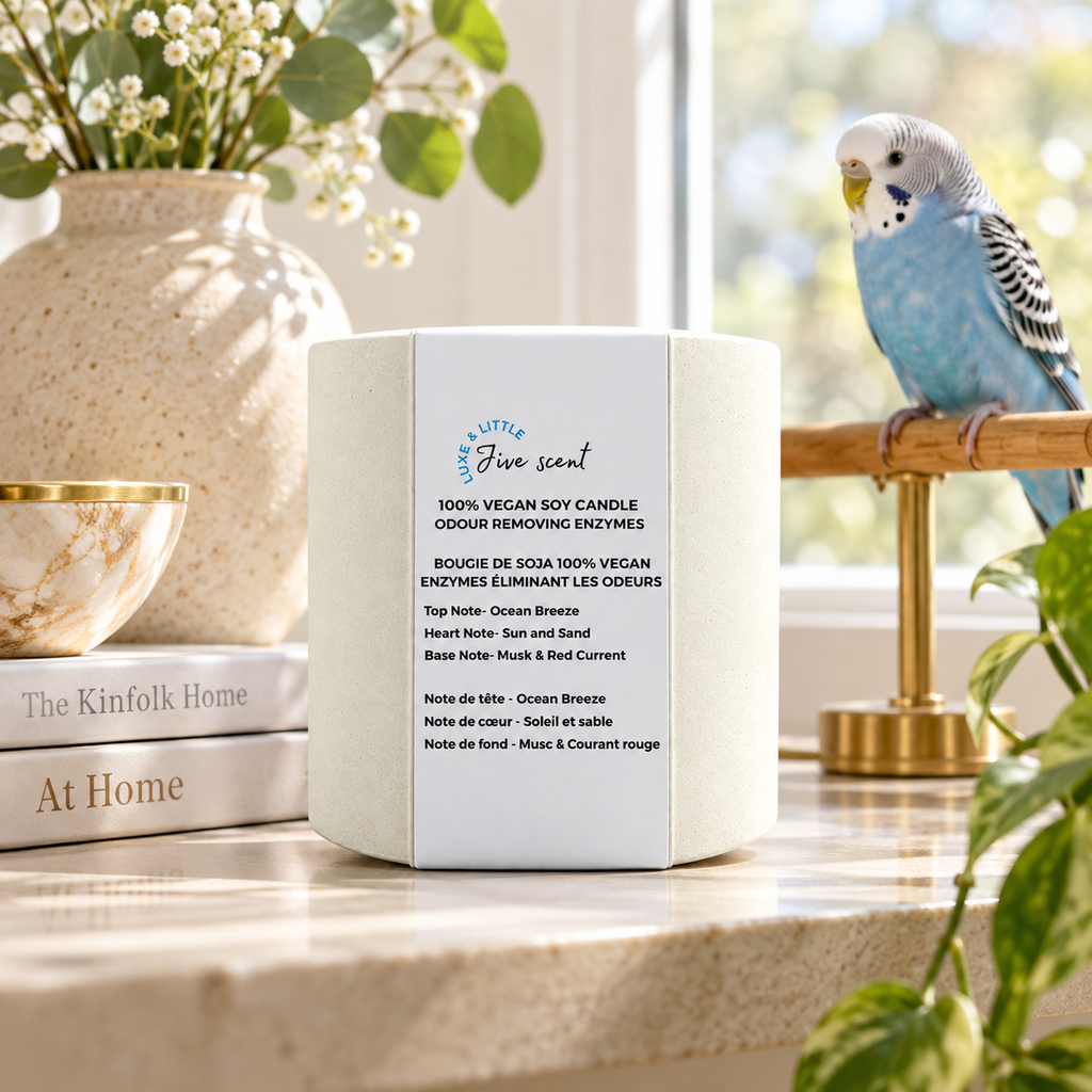 Unlit Luxe and Little Jive Scent candle with a blue pet budgerigar in the home