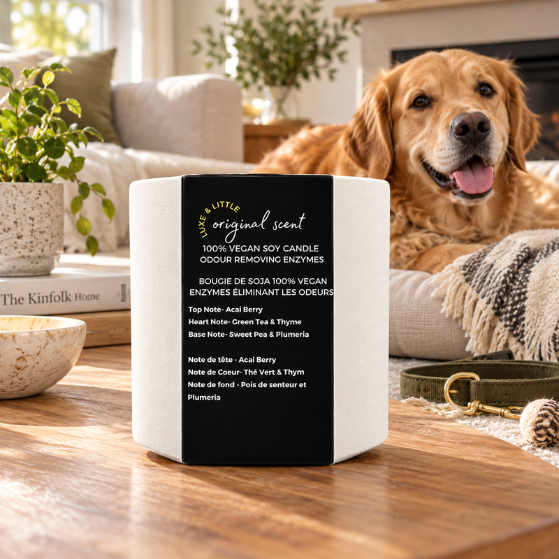 Pet Odour Eliminator