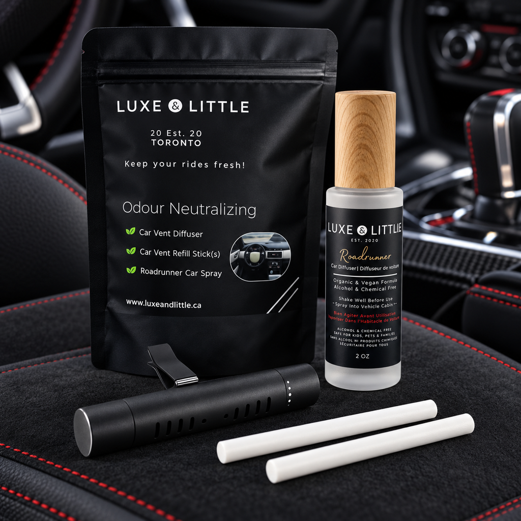 Roadrunner Car Set presented inside a sporty black car with red seat stitching
