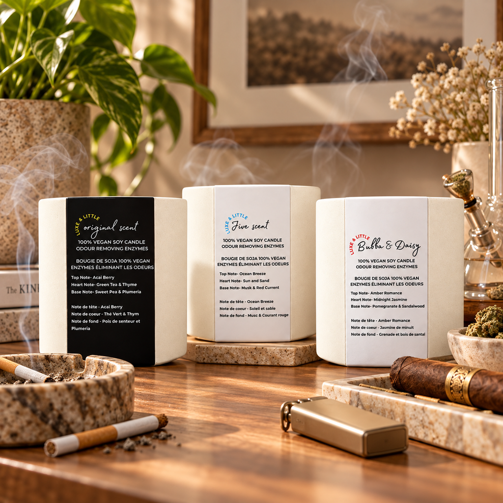Smoke odour eliminator trio in a cozy home setting
