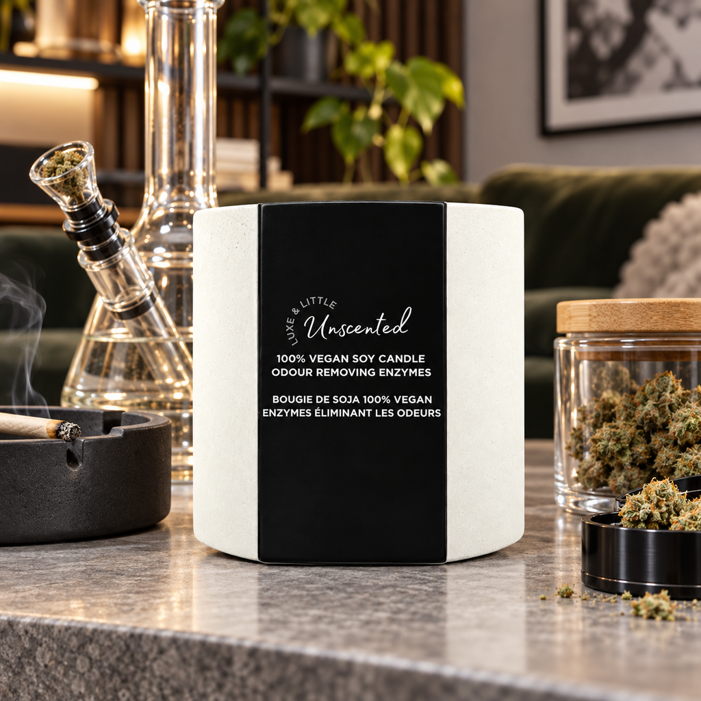 Luxe and Little Unscented odour eliminator candle in a home living room