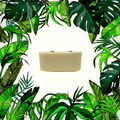 Mosquito Repellent, Flies, Bees, Bugs, Vegan -Citronella + Anise Refills