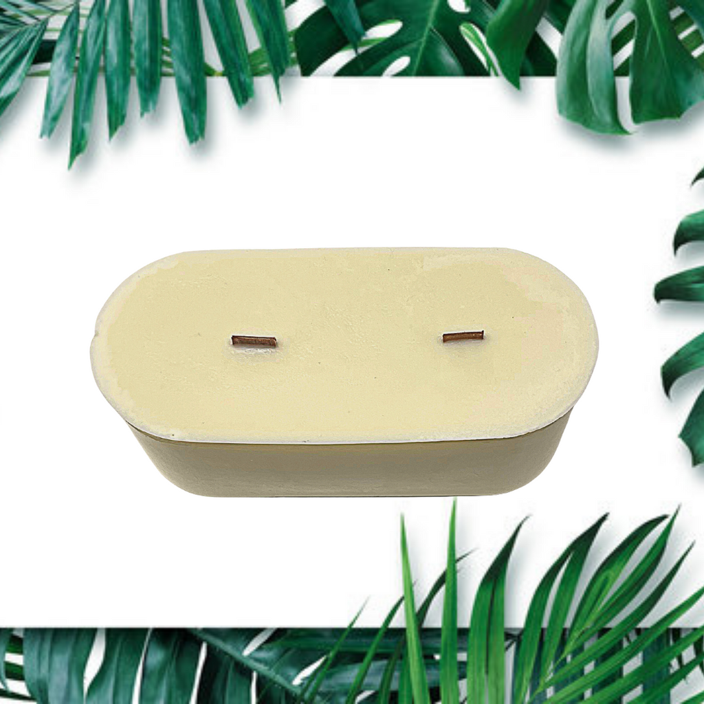 Mosquito Repellent, Flies, Bees, Bugs, Vegan -Citronella + Anise Refills